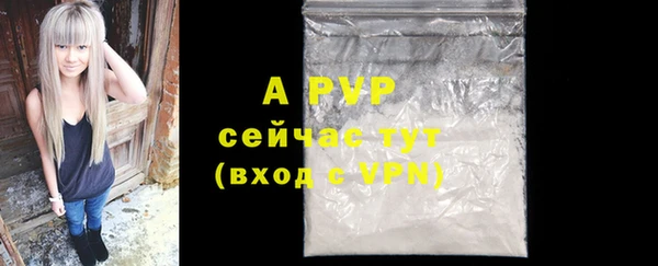 PSILOCYBIN Белокуриха