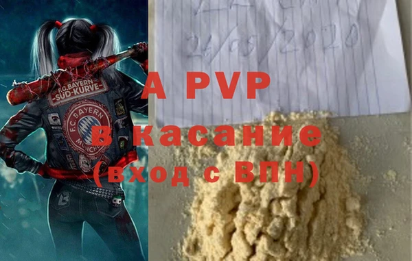 PSILOCYBIN Белокуриха