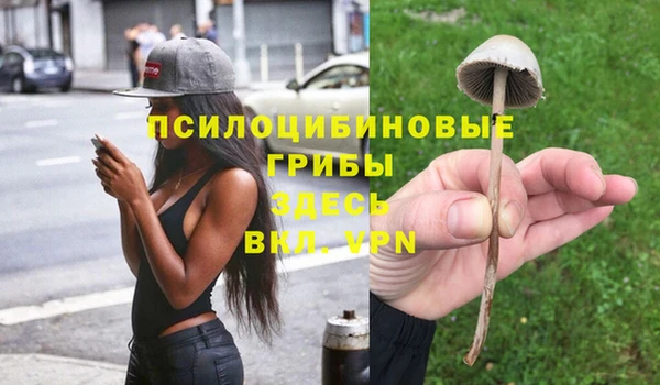 дмт Беломорск