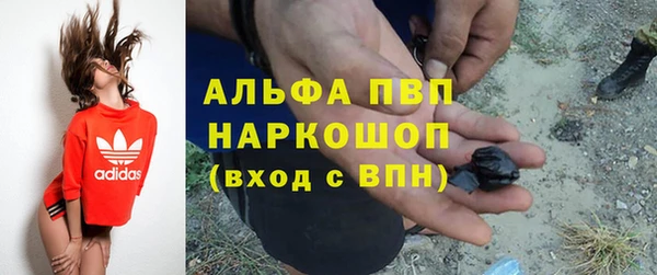 PSILOCYBIN Белокуриха